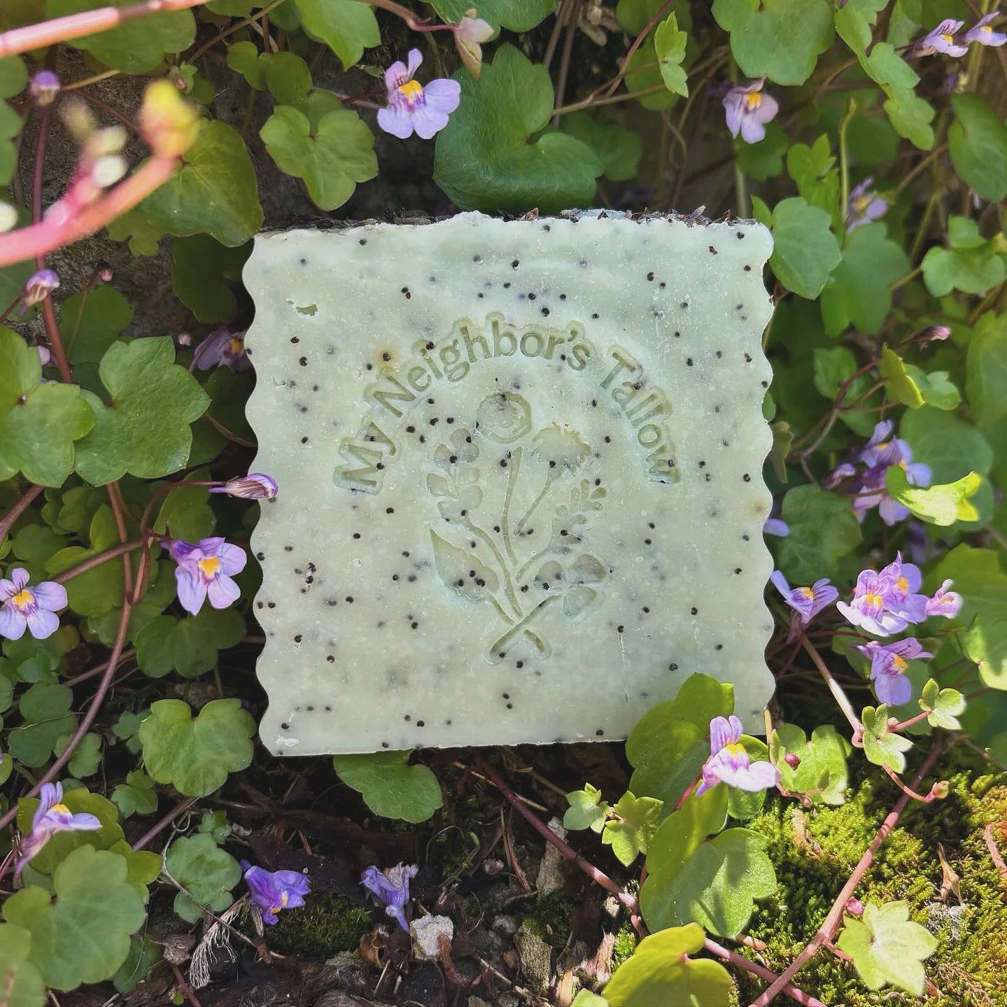 Blue Tansy & Raw Honey Tallow Soap - Folke Estate