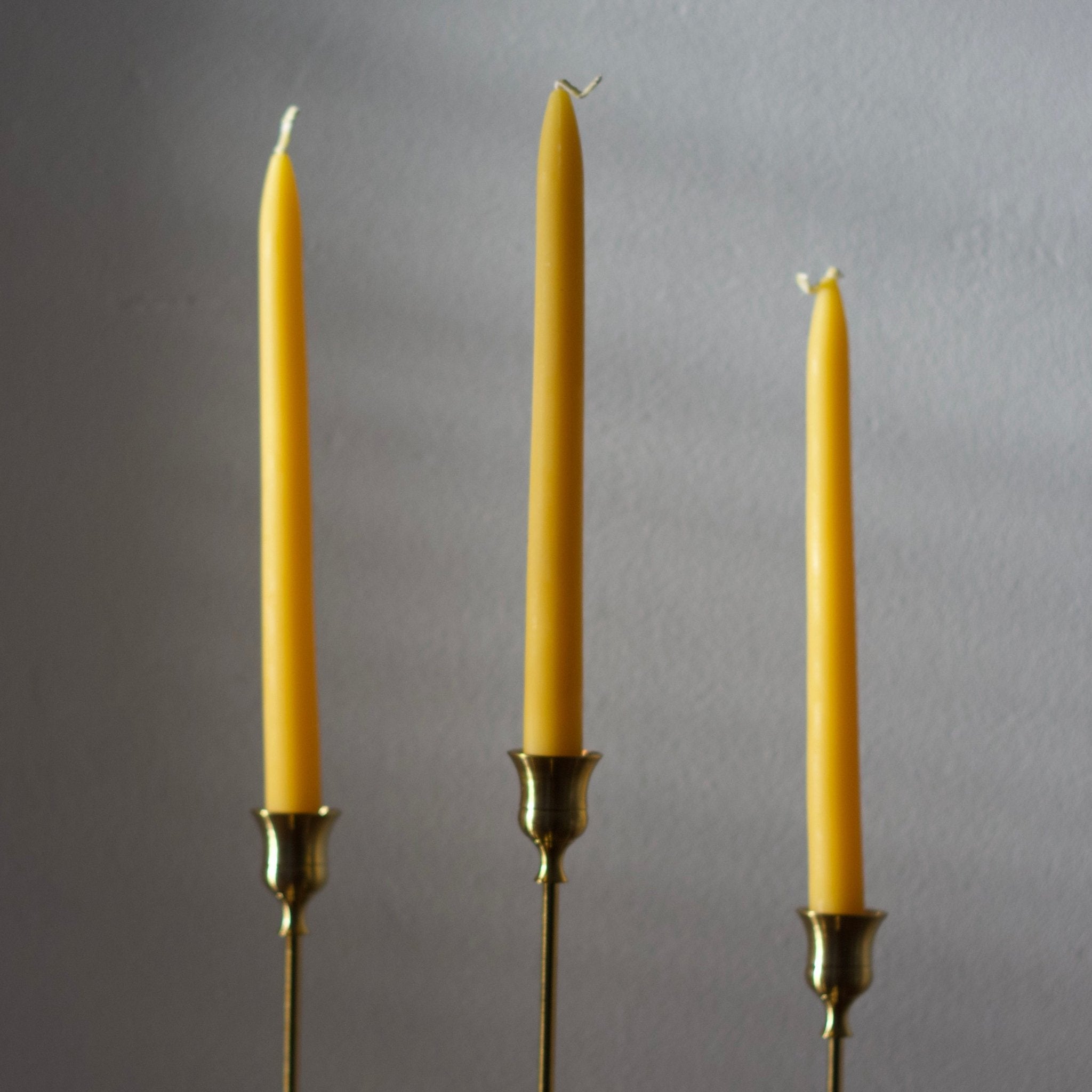 25cm Tapered 100% Beeswax Candles - Set of 2 - Folke Estate