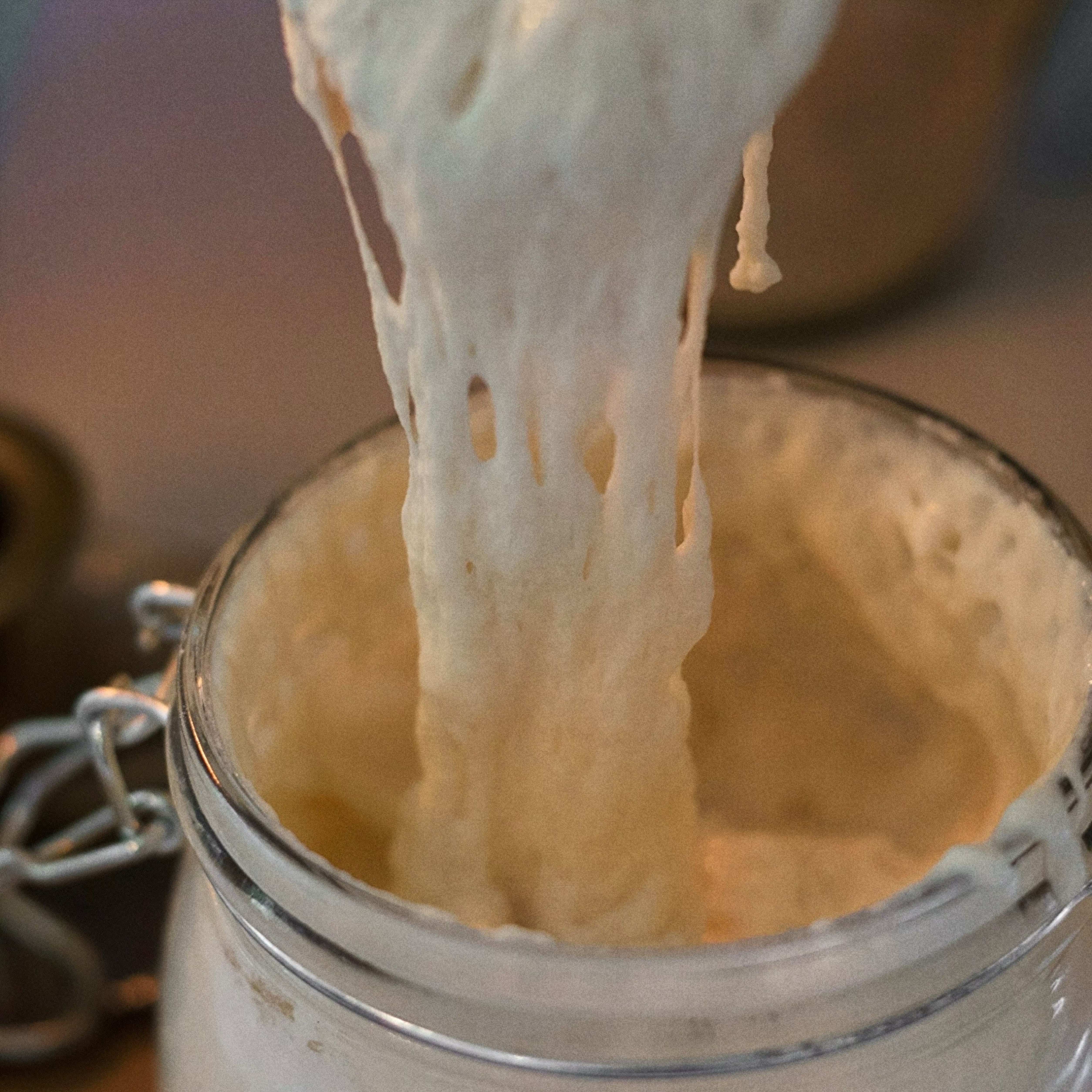 Florence Organic Sourdough Starter - Farm & Folk