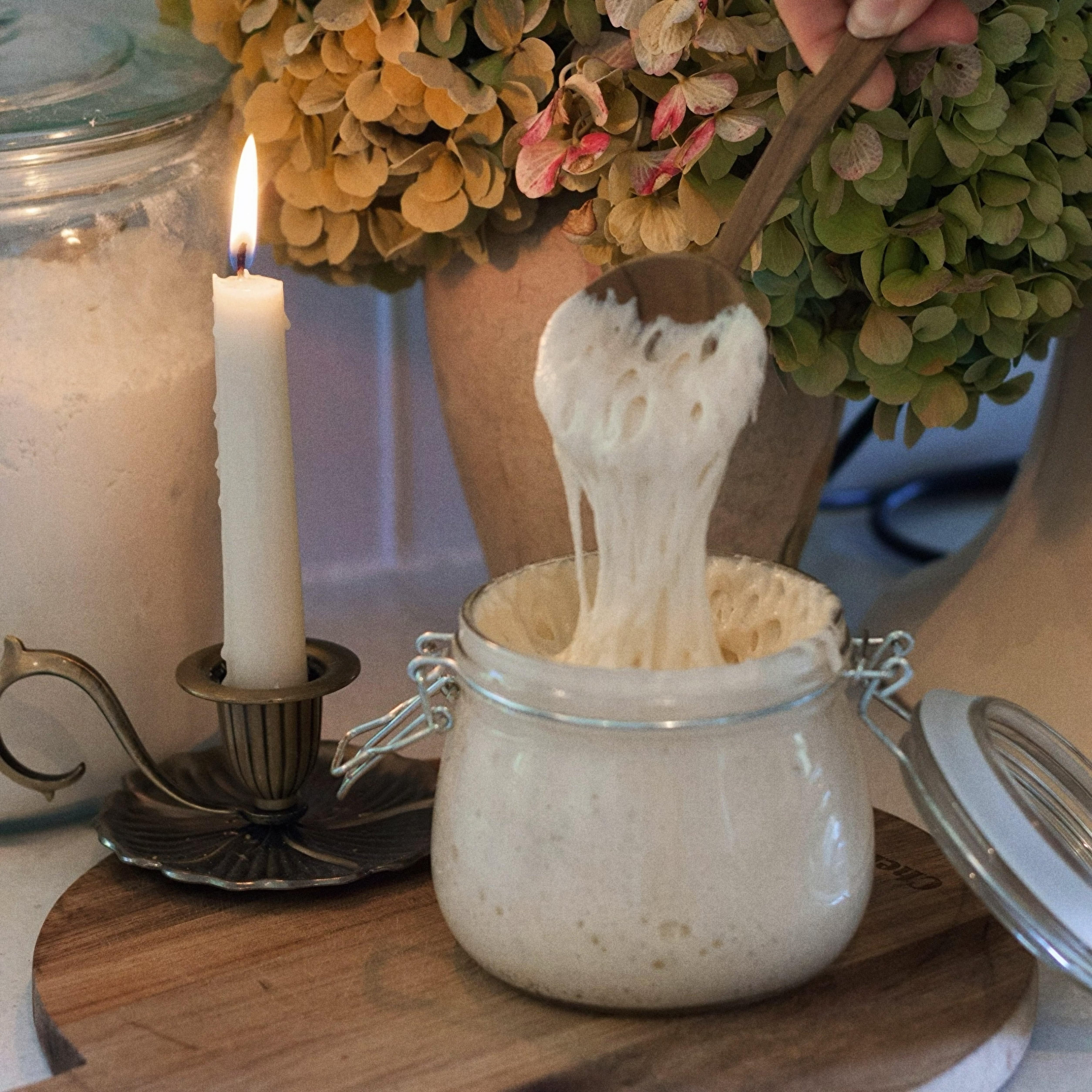 How to Maintain a Sourdough Starter